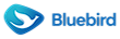 Bluebird